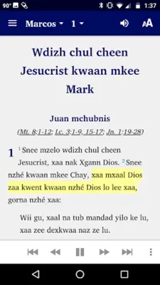 Zapoteco Amatlan - Biblia android App screenshot 4